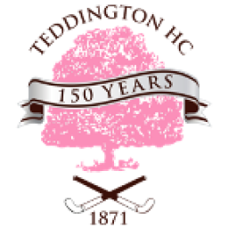 Logo of Teddington Girls U12 B