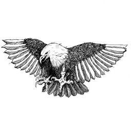 Logo of Oxford Hawks HC