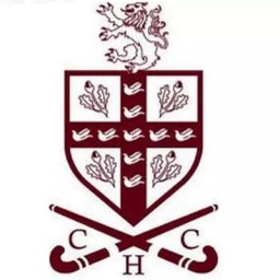 Logo of Crawley HC