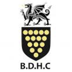 Logo of Bodmin HC