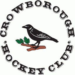 Logo of Crowborough HC