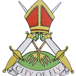 Logo of Ely City 3