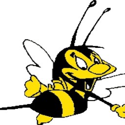 Logo of Exeter & Culm Vale Hornets HC