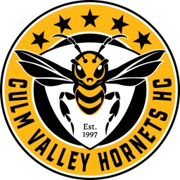 Logo of ECVH 3