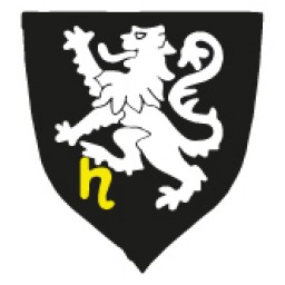 Logo of Horsham HC