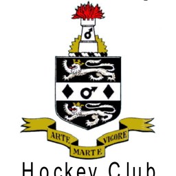 Logo of Wednesbury HC