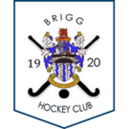 Logo of Brigg 1