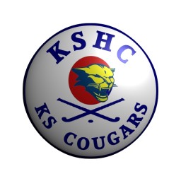 Logo of Kingsbridge & Salcombe 1