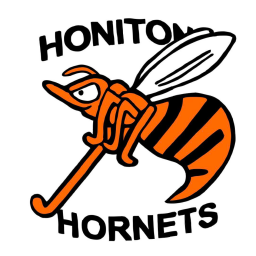 Logo of Honiton Hornets 1