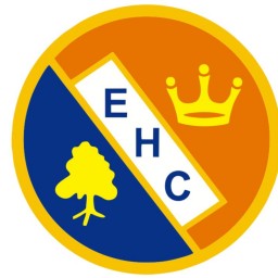 Logo of Ealing HC